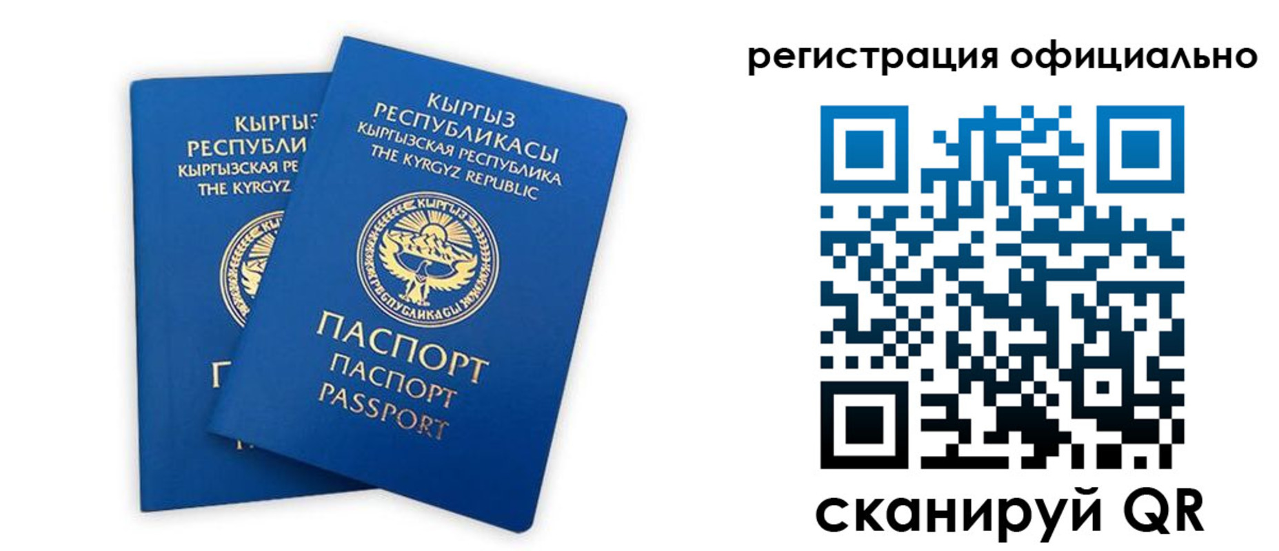 прописка поиск в Вельске